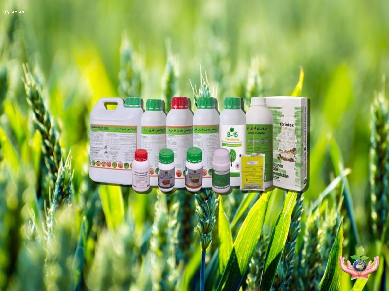 وصف قصير انجليزى